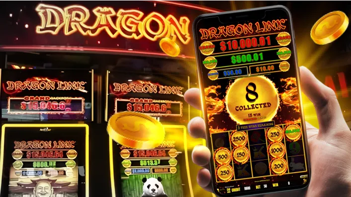 Diverse Range of Online Casino Games